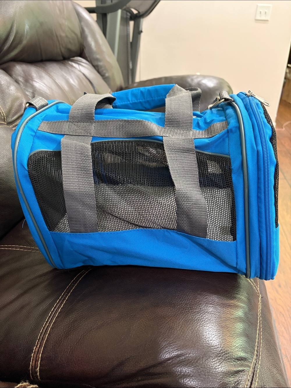 Blue Small Pet Carrier with Gray Straps - Picture 8 of 13